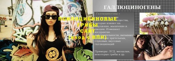 прущие крисы Арсеньев
