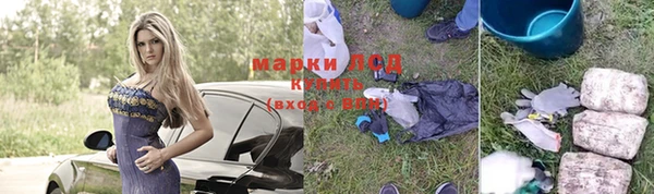 apvp Аркадак